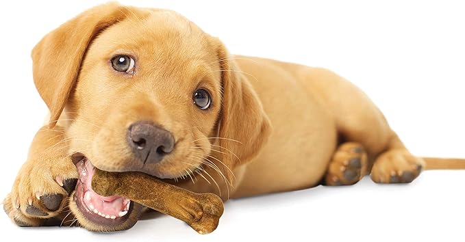 Nylabone Healthy Edibles Natural Puppy Chews Long Lasting Treats for Puppies, Turkey & Sweet Potato Flavor, X-Small/Petite (4 Count)