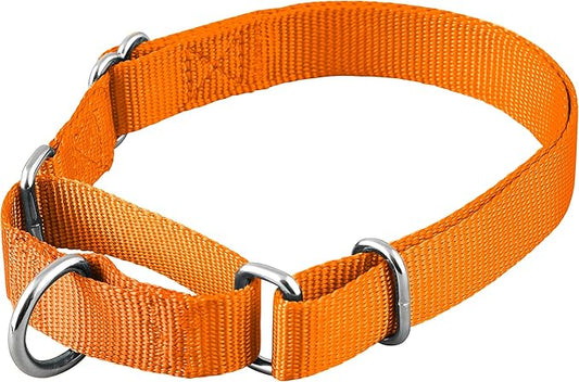Native Pup Martingale Dog Collar, Adjustable for Small, Medium, Large pet and Puppies Accessories, Cute Colors for Male, Female, Boy, Girl, Puppy (Medium, Orange)