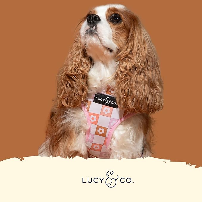 Lucy & Co. Pink Purple Daisy Checkered, Cute Reversible Dog Harness Walking Halter - Best Designer Pet Harnesses for XS - XL Dogs - Padded Adjustable Vest for Easy Walking (Large)
