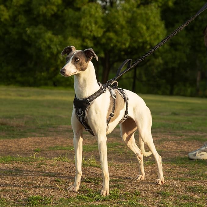 Escape Proof Harness, No Slip Dog Harness Escape Proof, Reflective Harness with Handle, Breathable, Durable, Adjustable Vest for Small Dogs Walking, Training, and Running Gear (Black, S)