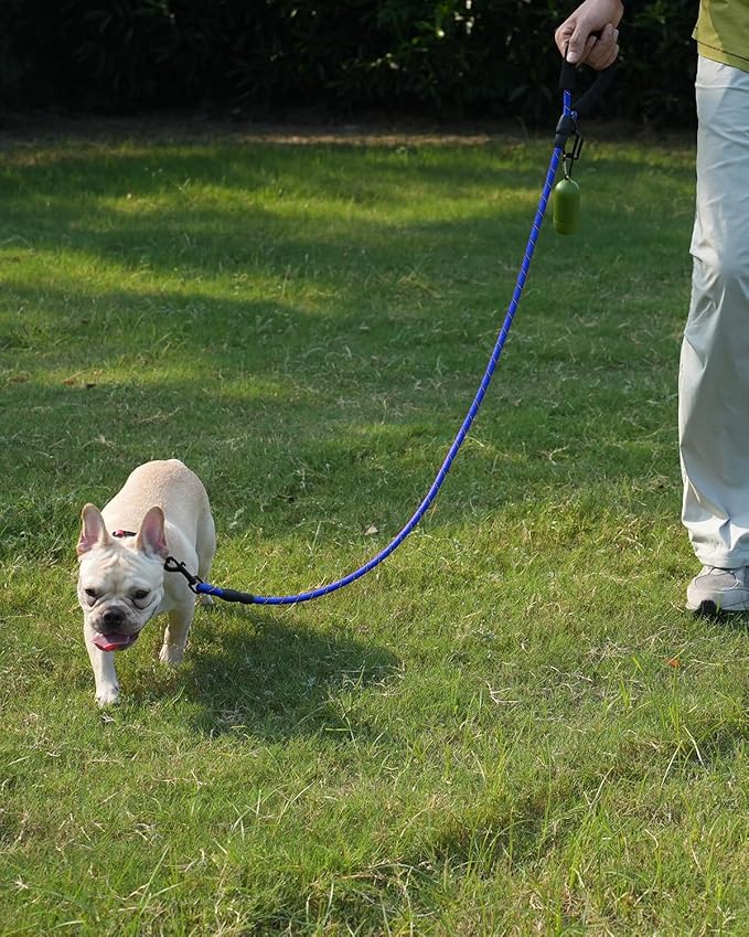 Joytale Reflective Dog Leash, Heavy Duty Nylon Rope with Poop Bag Holder, Highly Reflective Threads Leashes for Small Dogs, Navyblue, 5'×3/8''