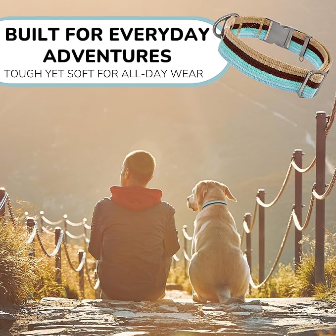 ADITYNA Cotton Dog Collar with AirTag Holder - Heavy-Duty Metal Buckle, Breathable, Easy Adjustable for Medium & Large Breeds - for Walking, Training (Ocean Breeze, Fits 15-21" Necks)