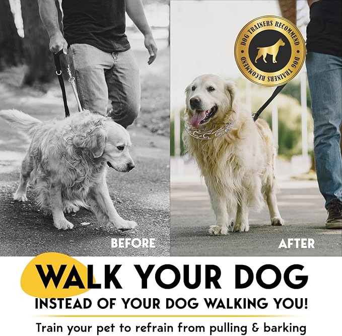 PetJett Prong Collar for Dogs Training Collar Adjustable Choke Collar Quick Release Pinch Collar for Small Medium Large Dogs No Pull Dog Collars Walking Tool - Stainless Steel Metal Choker Chain