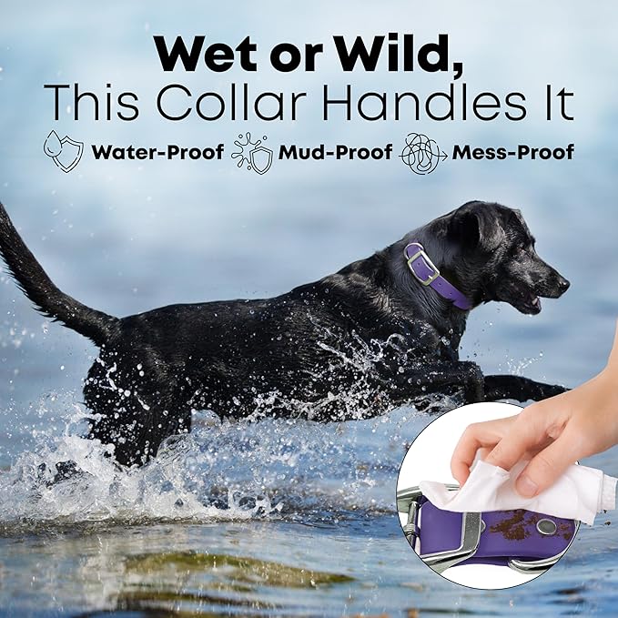 Regal Dog Products Small Purple Waterproof Dog Collar and Leash Set | Heavy Duty Double Buckle & D Ring - 5'ft Leash | Adjustable Biothane Dog Collar | Chew Resistant Waterproof Collar for Dogs