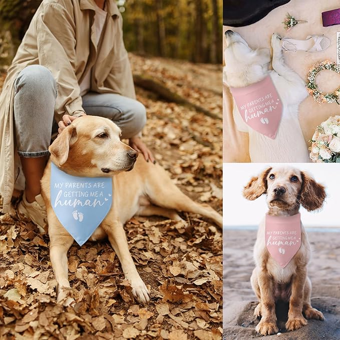 My Parents are Getting Me a Human Dog Bandana - Gender Reveal Gifts, Pregnancy Announcement, Baby Announcements Ideas, Photo Prop for Large Medium Small Dogs - 2 Packs