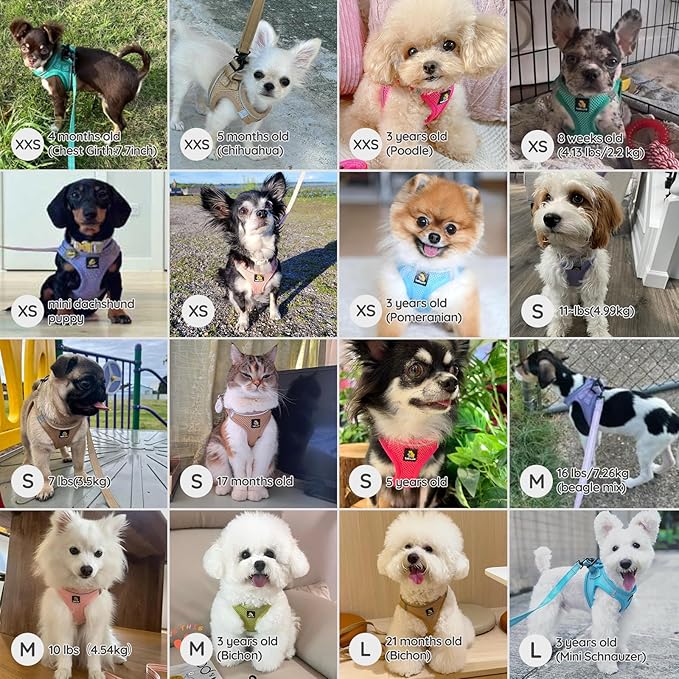 BELLA & PAL Puppy Harness with Leash Set, Step in Harness for Small Dogs, Dog Air Mesh Dog Vest Harness with Reflective Strip, No Pull No-Chock Harness for XXS, XS, Small, Medium Dog Cat (Khaki, XS)