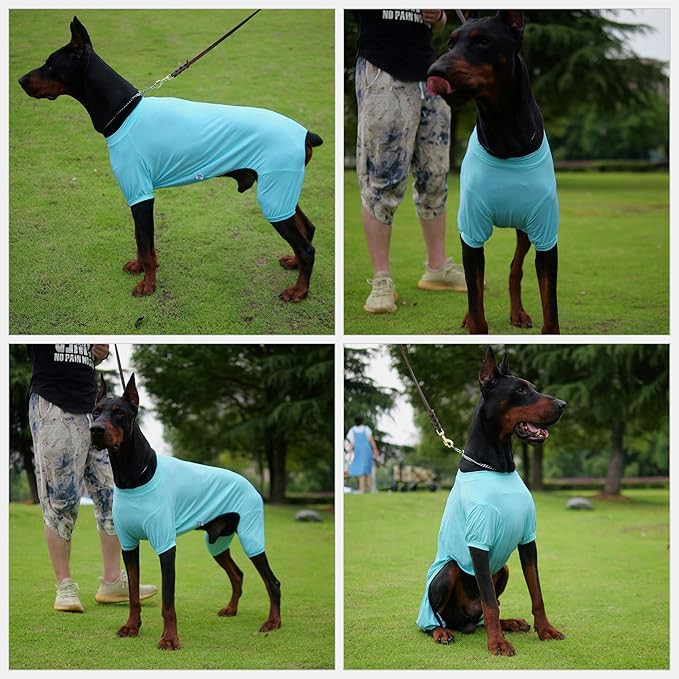 LoveLongLong Dog Jumpsuit with UV Protection and Quick-Dry Fabric for Spring Summer Pet Pajamas Turquoise XS