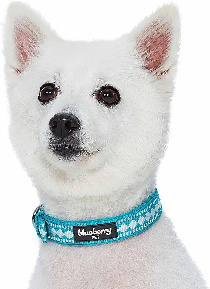 Blueberry Pet Soft & Safe 3M Reflective Jacquard Neoprene Padded Adjustable Dog Collar with Metal Buckle - Peacock, Neck 17-20.5", for Large Breed