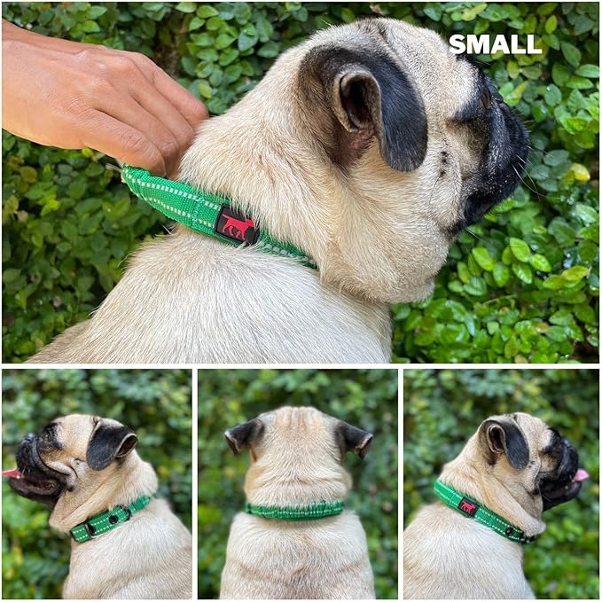 Heavy Duty Dog Collar with Handle | Ballistic Nylon Heavy Duty Collar | Padded Reflective Dog Collar with Adjustable Stainless Steel Hardware | Convenient Sizing for All Breeds