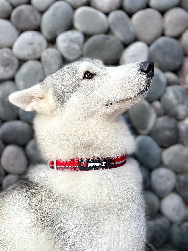 Tuff Pupper Heavy Duty Dog Collar | Tough Dog Collar | Reflective Dog Collar with Aluminum D-Ring Leash Clip | Separate Dog ID Tag Attachment Keeps Engraved Dog Tags Quiet | Easy Sizing for All Breeds