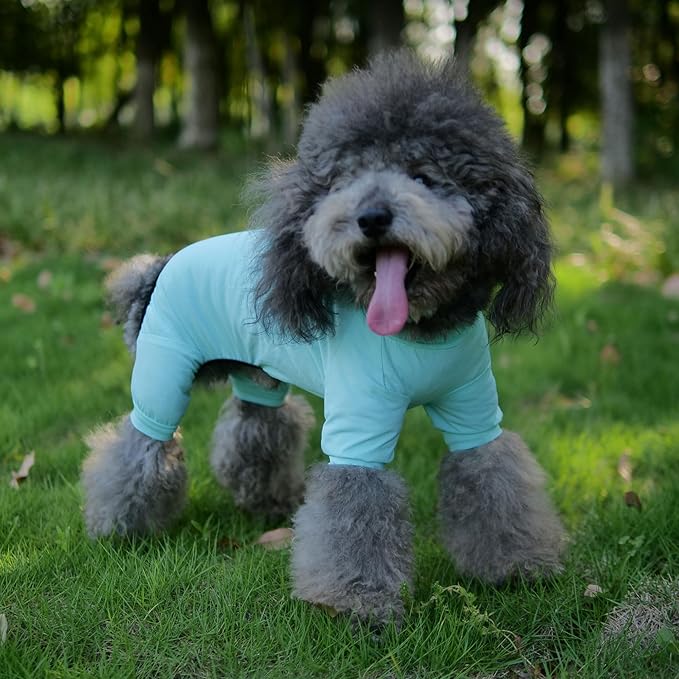 LoveLongLong Dog Jumpsuit with UV Protection and Quick-Dry Fabric for Spring Summer Pet Pajamas Turquoise XS