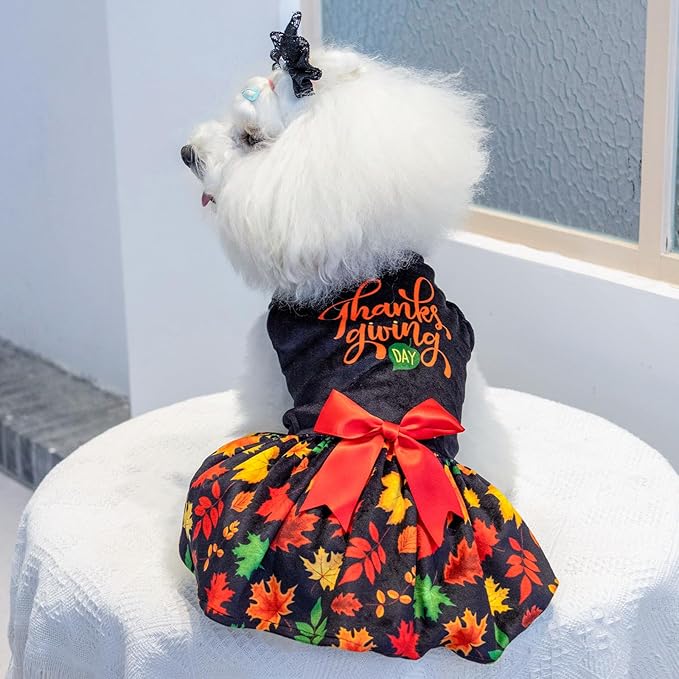 CuteBone Fall Dog Dresses Thanksgiving Costume Velvet Holiday Small Dogs Clothes Onesie Pet Apparel Girl Puppy Skirt with Bow Hair Rope CVA26M-D