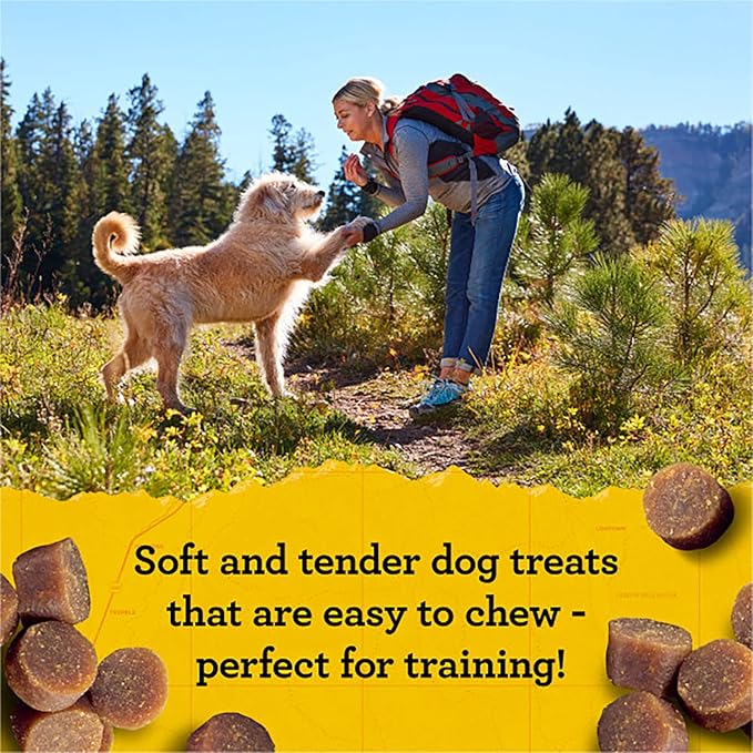 Zuke's Mini Naturals Training Dog Treats (16 Ounce (Pack of 2), Beef)