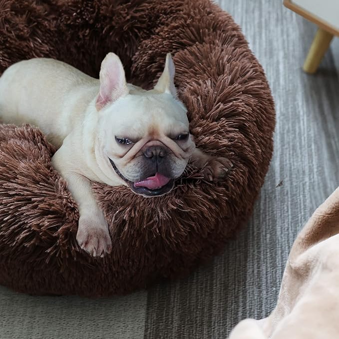 Puppy Beds for Small Dogs Washable Donut Fluffy Soft Dog Bed Anti Anxiety Orthopedic Warm Comfort Pets Beds 23 Inches