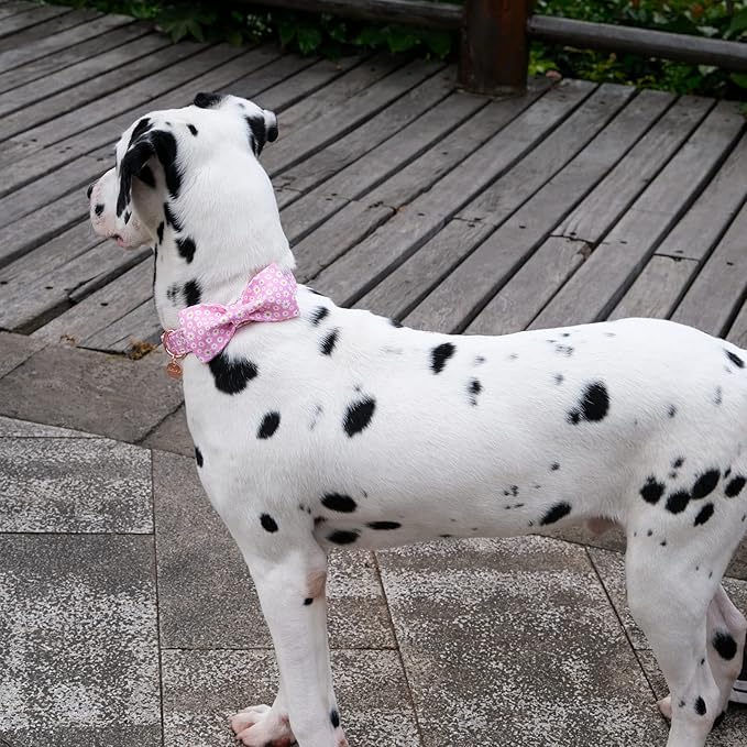 Summer Dog Collar with Bow Tie, Cotton Cute Bowtie Dog Collar, Pink Bowtie Collar for Large Boy Girl Dog, Comfortable Blue Dog Collar with Metal Buckle, L