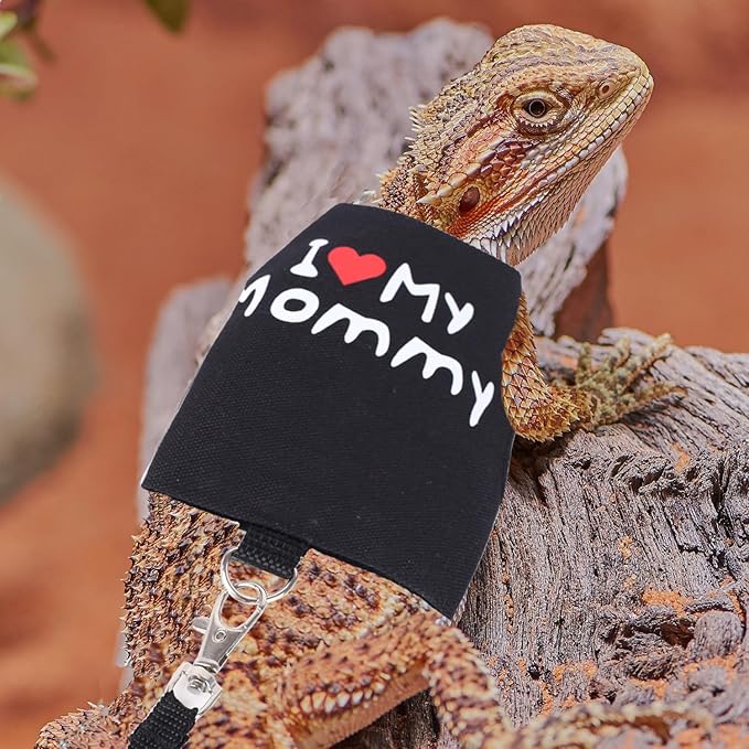 Bearded Dragon Travel Carrier with Security Printing Harness Leash Set,Lizard Carrier Cage,Guinea Pig Carrier for 2,Reptile Travel Carrier for Leopard Gecko Desert Iguana Crested Geckos
