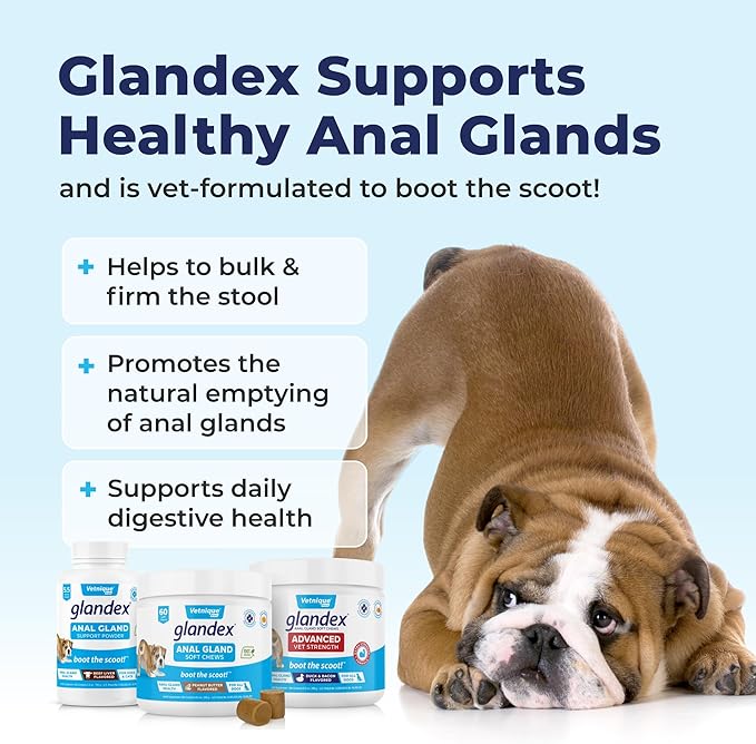 Vetnique Labs Glandex Anal Gland Soft Chew Treats with Pumpkin for Dogs Digestive Enzymes, Probiotics Fiber Supplement for Dogs Boot The Scoot (Pork Liver Chews, 30 Count)