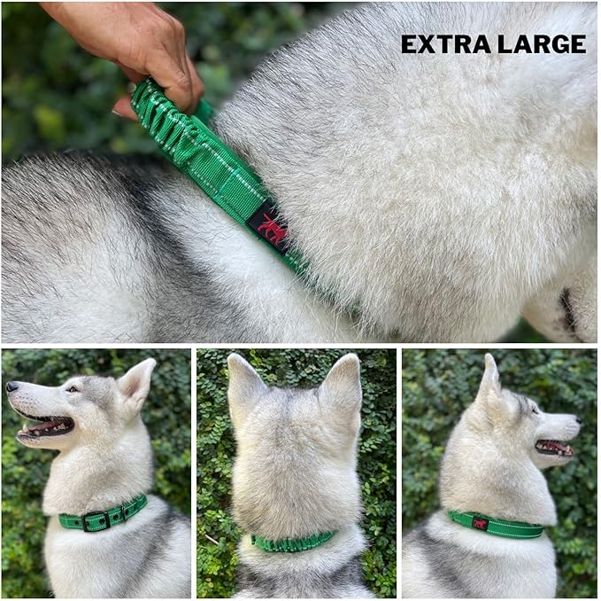 Tuff Pupper Heavy Duty Dog Collar with Handle | Ballistic Nylon Heavy Duty Collar | Padded Reflective Dog Collar with Adjustable Stainless Steel Hardware | Convenient Sizing for All Breeds