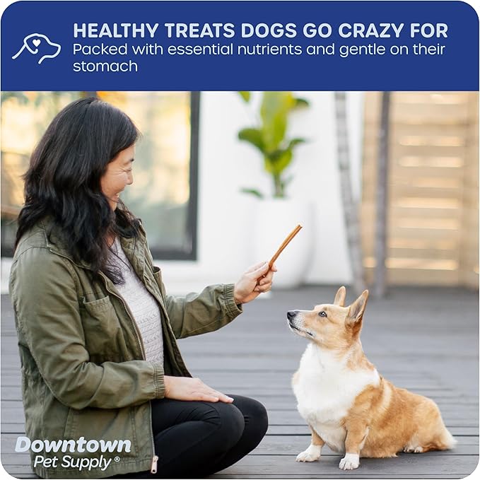 Downtown Pet Supply Bully Sticks - 12" JUNIOR - 12 Pack -SOUTH AMERICA & TURKEY