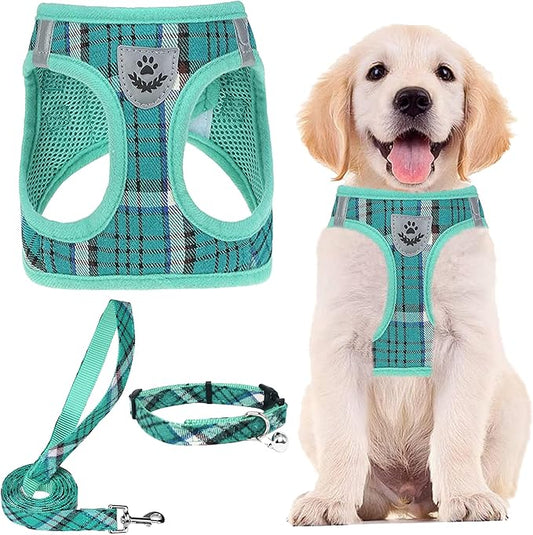 PUPTECK Adjustable Dog Harness Collar and Leash Set Step in No Pull Pet Harness for Small Medium Dogs Puppy and Cats Outdoor Walking Running, Soft Mesh Padded Reflective Vest Harnesses, Lake Green M