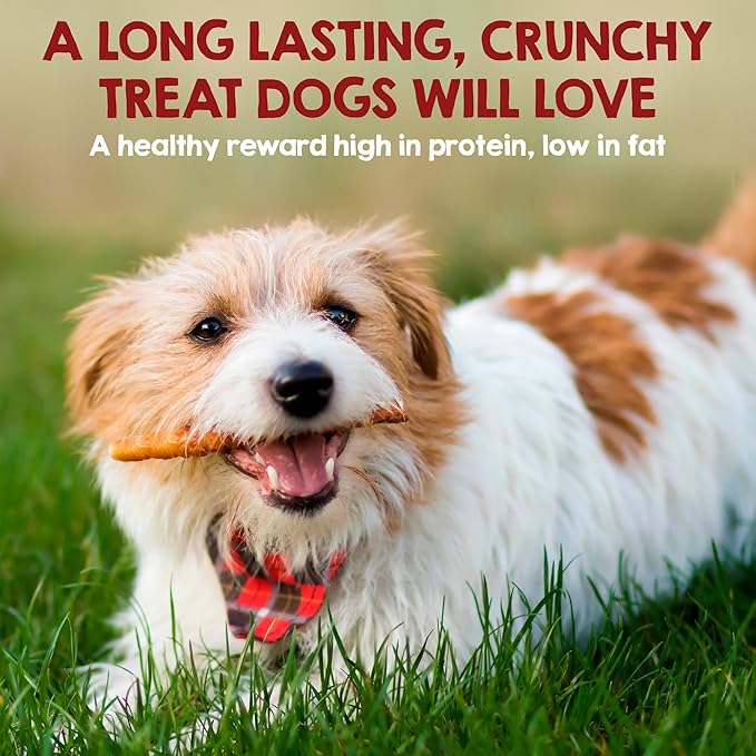Riley's Chicken Wrapped Beef Sticks - Made with USA Sourced Dehydrated Chicken Breast & Beef Hide - Dog Snacks for Medium Dogs and All Natural Chew Sticks - 12 Medium Twists