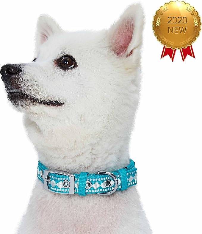 Blueberry Pet Soft & Safe 3M Reflective Jacquard Neoprene Padded Adjustable Dog Collar with Metal Buckle - Peacock, Neck 17-20.5", for Large Breed