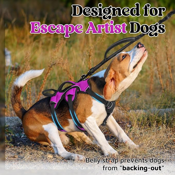 rabbitgoo Escape Proof Dog Harness, Soft Padded Full Body Pet Harness, Reflective Adjustable No Pull Vest with Lift Handle and Lesh Clip for Large Dogs Walking Hiking Training, S, Purple