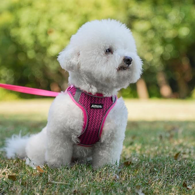 AIITLE No Pull Harness for Small Dogs - Step in Puppy Harness with Super Breathable Mesh, Reflective Adjustable Pet Harness for Outdoor Walking, Training for Small Dogs, Cats Hot Pink XS