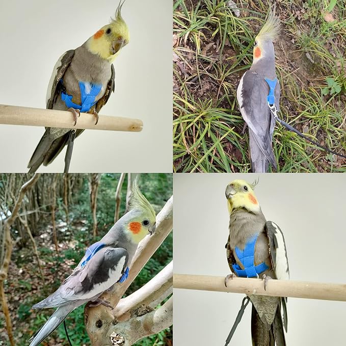 Bird Harness with Buckle Clip and A Leash Rope,Easy to Wear Outdoor Flying Kit for Bird Parrots Cockatiel S Size Weight 85-105 Grams,Blue