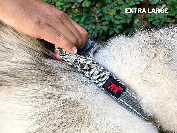 Heavy Duty Dog Collar with Handle | Ballistic Nylon Heavy Duty Collar | Padded Reflective Dog Collar with Adjustable Stainless Steel Hardware | Convenient Sizing for All Breeds X-Large (19-23" Neck)