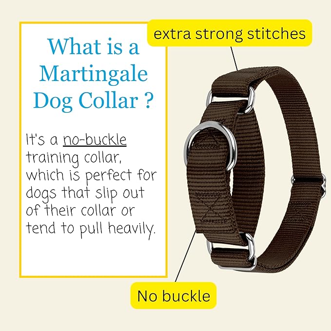 Country Brook Petz Martingale Dog Collar - Heavy-Duty Training Collar with No Buckle - Service Dog Collar for All Pups - Vibrant, Colorful Collection (Brown, 1 Inch, Extra Large)