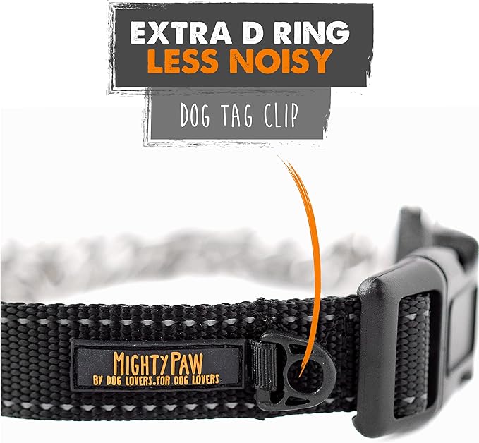 Mighty Paw Martingale Dog Collar 2.0 | Trainer Approved Limited Slip Collar with Stainless Steel Chain & Heavy Duty Buckle - Modified Cinch Collar for Gentle & Effective Pet Training - Small, Black