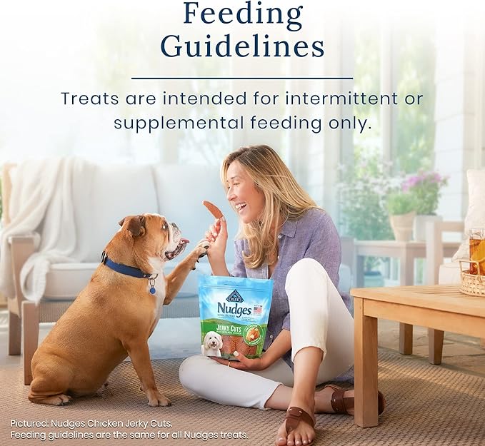 Blue Buffalo Nudges Jerky Cuts Natural Dog Treats Chicken Bag