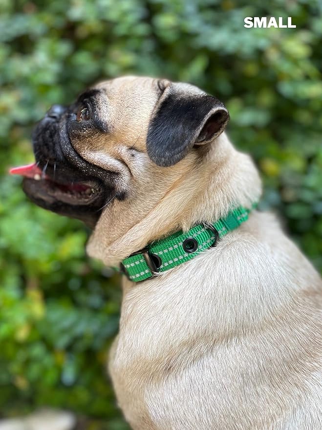 Heavy Duty Dog Collar with Handle | Ballistic Nylon Heavy Duty Collar | Padded Reflective Dog Collar with Adjustable Stainless Steel Hardware | Convenient Sizing for All Breeds