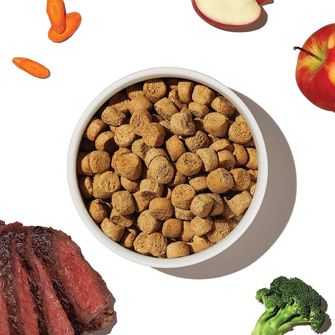 The Honest Kitchen Whole Food Clusters Grain Free Beef Dry Dog Food, 5 lb Bag
