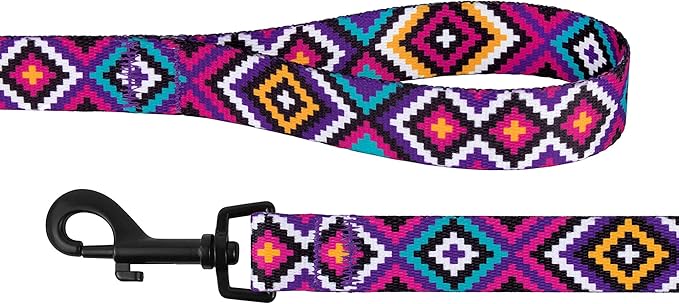 CollarDirect Aztec Dog Leash Nylon Tribal Pattern Cat Pet Leashes for Small Medium Large Dogs Puppy Lead 5 FT Long for Walking (Tribal Magenta, S)