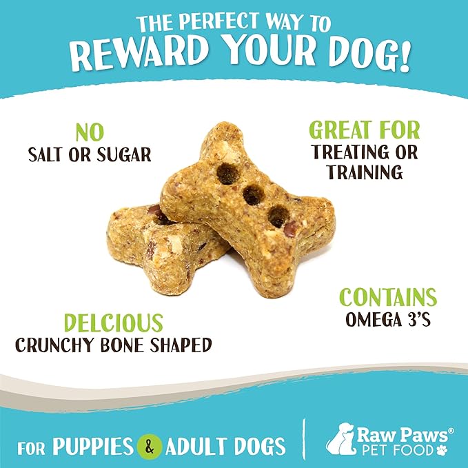 Raw Paws Mini Bones for Dogs - Sweet Potato & Honey Recipe, 10-oz - Made in USA Dog Biscuits, Small Training Treats for Dogs - Wheat, Corn, Soy Free Crunchy Dog Treats