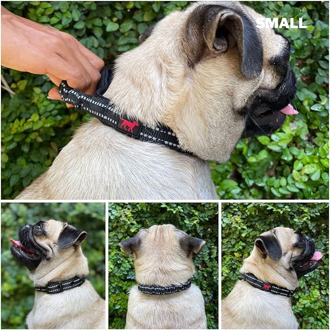 Tuff Pupper Heavy Duty Dog Collar with Handle | Ballistic Nylon Heavy Duty Collar | Padded Reflective Dog Collar with Adjustable Stainless Steel Hardware | Convenient Sizing for All Breeds