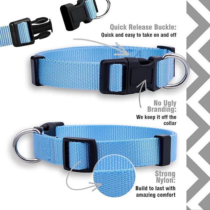 Native Pup Basic Nylon Dog Collar, Adjustable for Small, Medium, Large pet and Puppies Accessories, Cute Colors for Male, Female, boy, Girl, Puppy (Medium, Light Blue)