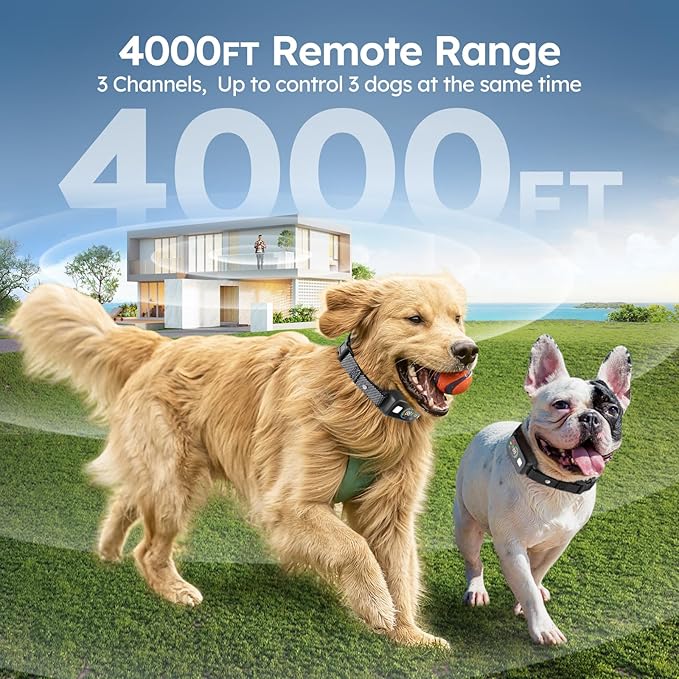 Dog Shock Collar 2 Dogs,4000FT with Flash Light for Night Walks, Dog Training Collar with Remote Control, E Collar with Adjustable Pitch Beep,Vibration and Shock,Rechargeable Waterproof Shock Collar