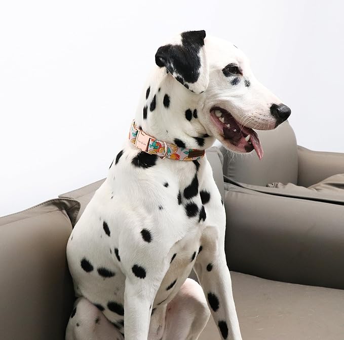 Unique style paws Dog Collar Metal Buckle Orange Collar Gift Durable Cute Collar for Small Medium Large Boys Girls Dogs