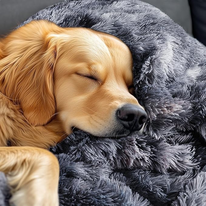 Luciphia Large Waterproof Dog Blanket for Pet Washable Liquid Proof Furniture Protector Shaggy Plush Calming Long Faux Fur Bed Cover for Couch Calming Cat Blankets for Medium, Tie-dye Grey, 50" x 60"