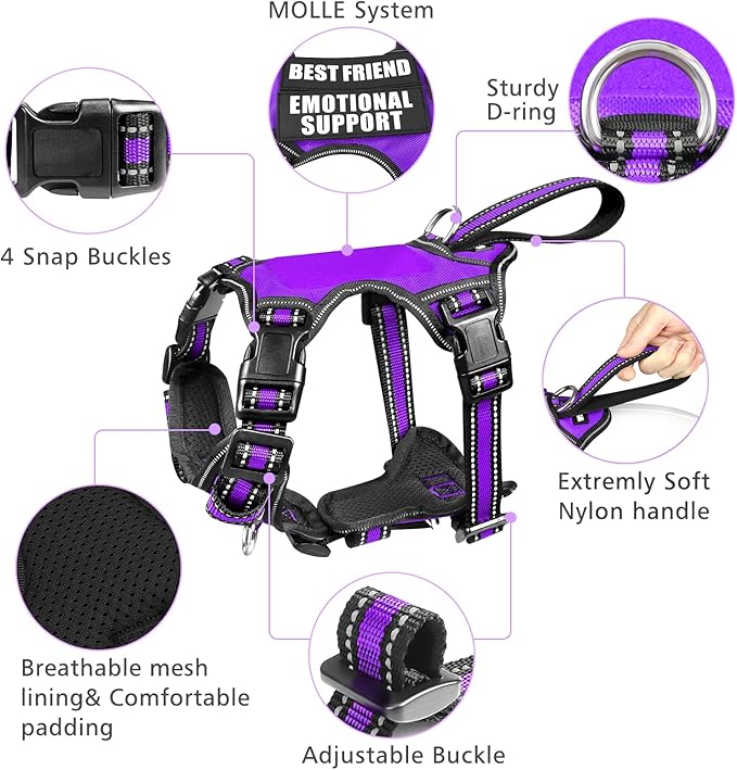 WINSEE Pet Harness Collar and Leash Set, All-in-one Reflective Dog Harness No Pull with Adjustable Buckles for Puppies, Small, Medium, Large, and Extra-Large Dogs (Small, Purple)