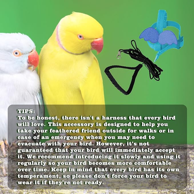 Adjustable Bird Leashes and Harnesses, Bird Nylon Harness with Cute Wing for Parrots, Pet Bird Accessories, Bird Leash for Hang Out, Suitable for Cockatiel, Quaker, Amazon Parrot and Same Size Birds