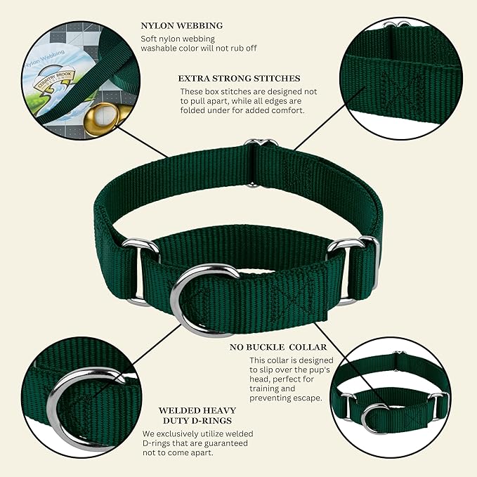 Country Brook Petz Martingale Dog Collar - Heavy-Duty Training Collar with No Buckle - Service Dog Collar for All Pups - Vibrant, Colorful Collection (Green, 3/8 Inch, 3XS)