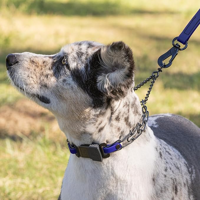 Herm Sprenger Black Stainless Steel Dog Collar with Quick Release ClicLock Buckle and Biothane Insert Training Collar Made in Germany (Blueberry Royal, 16in x 2.25mm(Neck Size up to 13-14in))