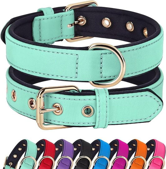 Didog Soft Padded Dog Collars for Medium Dogs, Lightweight and Breathable Dog Collar Waterproof with Metal Buckle, Green, L