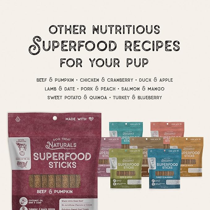 Beef & Pumpkin Superfood Sticks for Dogs | All-Natural Premium Training Dog Treats | Contains Turmeric for Joint Health | Made with Real Beef & Pumpkin | Made in USA | 10 Ounces