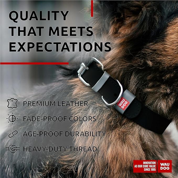 WAUDOG Long Lasting Leather Dog Collar for Large Dogs, Medium & Small Dogs - Adjustable Classic Puppy Collars for Large Breed Dogs - Boy & Girl Dog Collars with Durable Buckle, D-Ring & QR Dog Tag