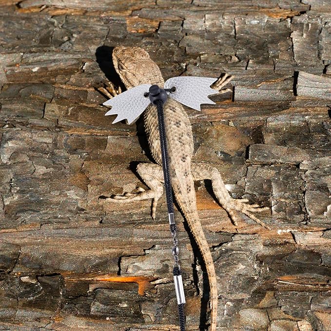 Bearded Dragon Lizard Leash Harness, Adjustable Lizard Leash Accessories Winged Bearded Dragon Rope with Hat and 3 Sizes Leather Harness for Lizard Chameleon Amphibian
